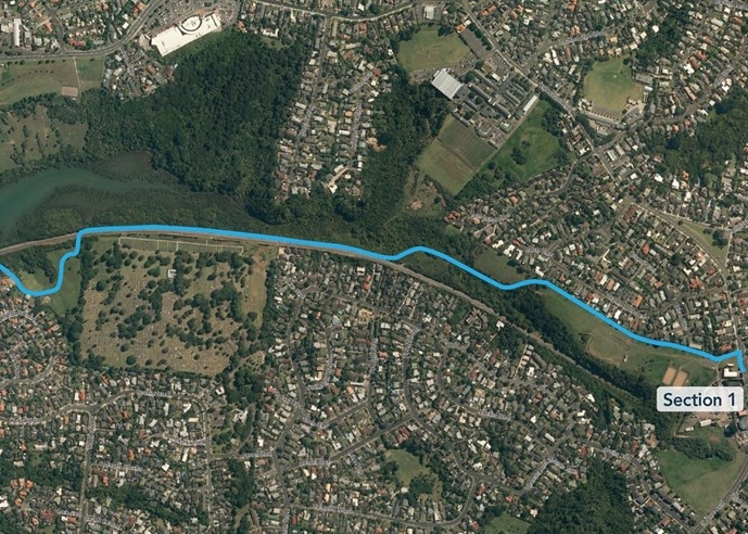 Glenn Innes to Tamaki Shared Path - Various Projects